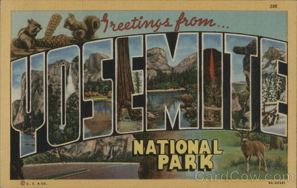 Greetings From Yosemite National Park California C. T. & Co.