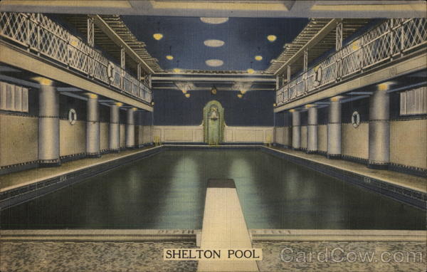 Shelton Pool New York City