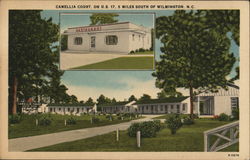 Camellia Court Wilmington, DE Postcard Postcard Postcard