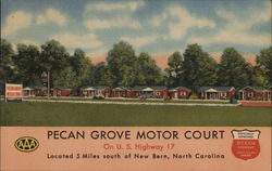 Pecan Grove Motor Court New Bern, NC Postcard Postcard Postcard