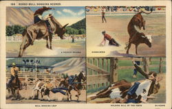 Rodeo Bull Dogging Scenes Postcard