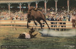 Earl West Thrown from Bluebonnet, Livingston Roundup Postcard