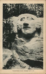 The Stone Face Forest City, PA Postcard Postcard Postcard