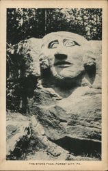 The Stone Face The Stone Face