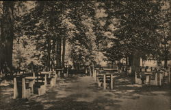 Park scene in front of bazaar - Camp Chesterfield - The Indiana Association of Spiritualists Postcard