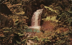 Annandale Falls, An Exotic Spot Grenada, West Indies Caribbean Islands Postcard Postcard Postcard