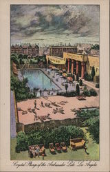Crystal Plunge of the Ambassador Lido Postcard