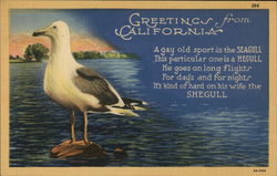 Greetings from California Postcard Postcard Postcard