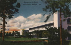 University of Miami Coral Gables, FL Postcard Postcard Postcard