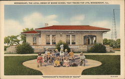 Mooseheart, the Loyal Order of Moose School that Trains for Life Illinois Postcard Postcard Postcard