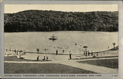 Diving Float, Taghkanic Lake, Taghkanic State Park Ancram, NY Postcard Postcard Postcard