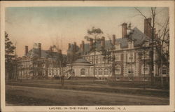 Laurel In the Pines Postcard