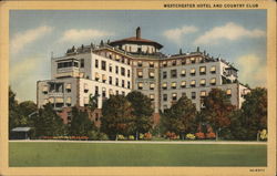 WESTCHESTER HOTEL AND COUNTRY CLUB Postcard