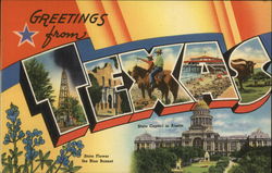 Greetings from Texas Large Letter Postcard Postcard Postcard