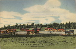 Kaibab Motor Lodge Williams, AZ Postcard Postcard Postcard