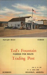 Ted's Fountain Trading Post - Famous for Malts Seligman, AZ Postcard Postcard Postcard