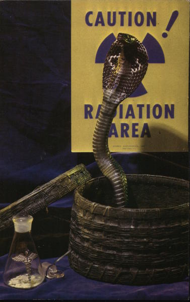 Miami Serpentarium Cobra Florida