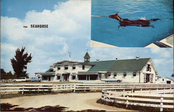 The Seahorse Barrington Illinois