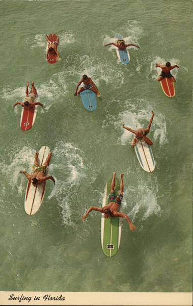 Surfing in Florida Surfing and Waterskiing