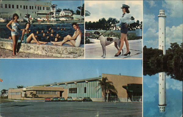 Play-Swim-Shop-Bank-Build, North Tampa Florida