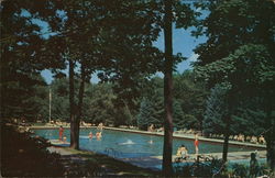 The Swimming Pool Postcard