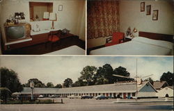 Shoreline Motel Postcard