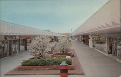 Connecticut Post Center - The Mall Postcard