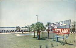 Motel Skylark Postcard