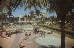 Flamingo Hotel and Pool Postcard