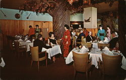 New Grove Restaurant Seattle, WA Postcard Postcard Postcard