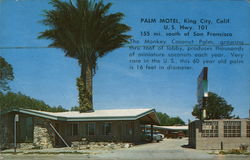 Palm Motel Postcard