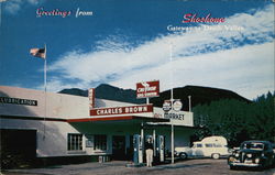 Greetings from Shoshone Gateway to Death Valley Postcard