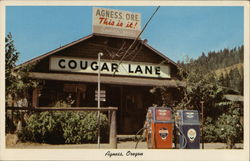 Cougar Lane Agness, OR Postcard Postcard Postcard