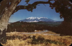 Snow-Covered San Francisco Peaks Postcard