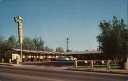 Cactus Motel Postcard