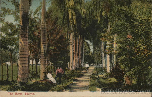 The Royal Palms Panama