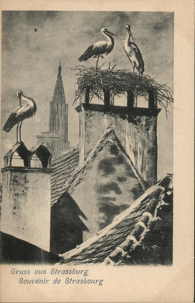 greetings from Strasbourg France