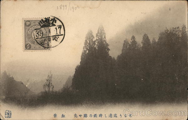 View of a mist covered trees Japan