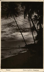 Sunset Postcard