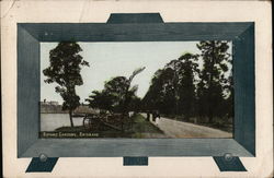 Botanic Gardens, Brisbane Postcard