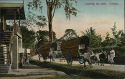 Loading tea carts. Ceylon Postcard