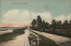 Western Drive Nassau Bahamas Caribbean Islands Postcard Postcard Postcard