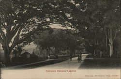 Entrance Botanical Garden Postcard