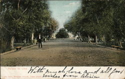 Parque de Lima Peru Postcard Postcard Postcard