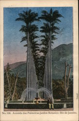 Avenida das Palmeiras-Jardim Botanico-Rio de Janeiro Postcard
