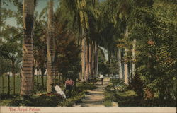The Royal Palms Postcard