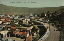 View of Avenida "Montes" Postcard