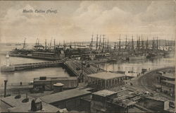 Muelle Callao (Peru) Postcard