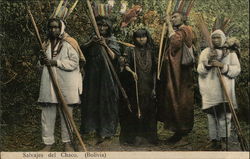 Salvajes del Chaco Postcard