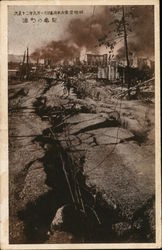 View after a disaster Postcard
